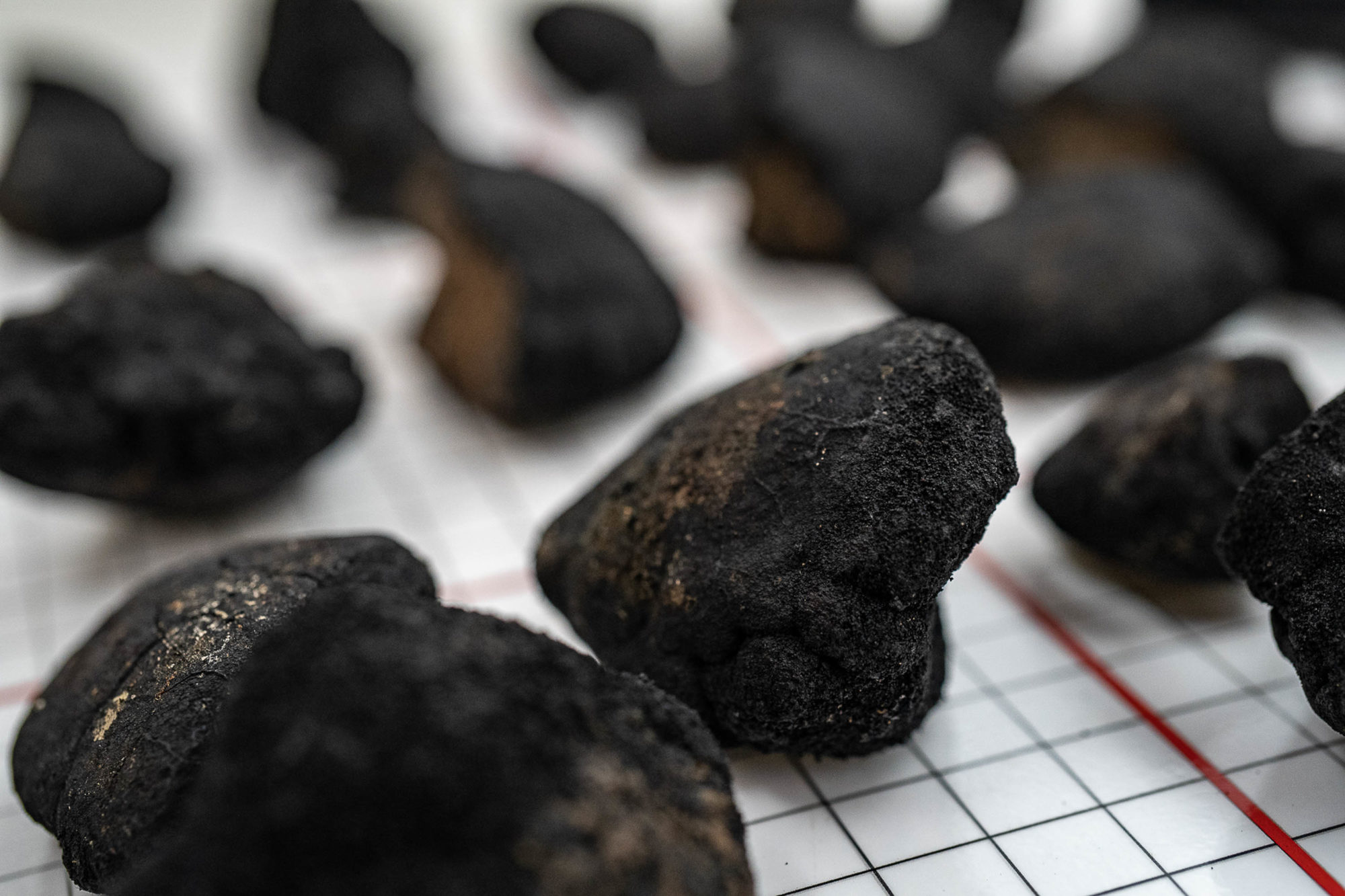 Polymetallic Nodules Before Cobalt Extracted